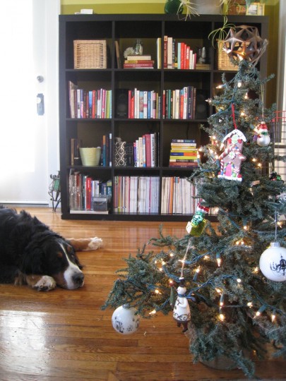 Cody, tired after decorating the Christmas tree.