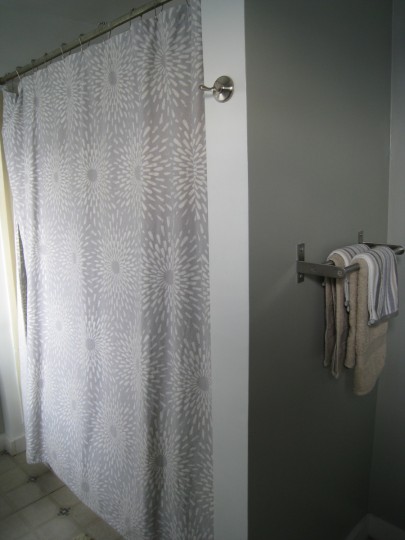 Bathroom shower curtain and hand towel rack.
