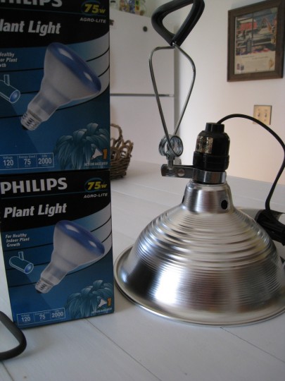 Matching light bases and 75W plant lights. Hopefully this is enough to get the job done. 