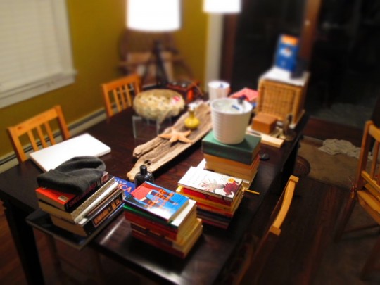 Canon G12 tilt-shift feature. No photoshop changes made.