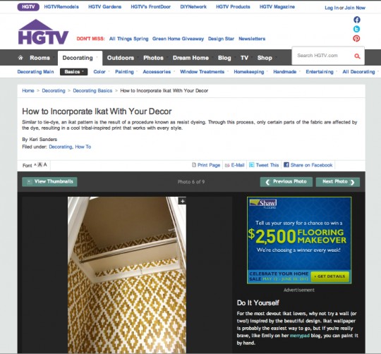 HGTV Feature: Ikat closet painting.