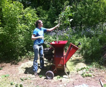Tree chipping!