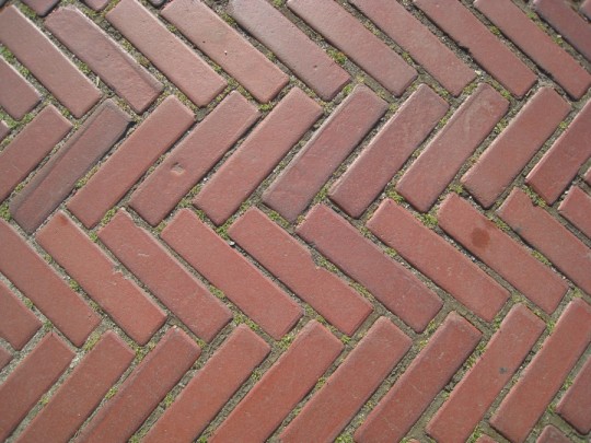 My name's Emily and I'm crazy for herringbone. My name's Emily and I'm crazy for herringbone.
