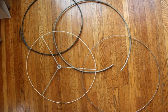 Remains of the drum shade post-Emilysaurus.