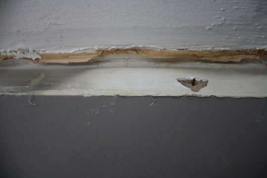 I removed the crown moulding to find that the cheesecloth-like-material in the stippled ceiling was beginning to fray and sag.