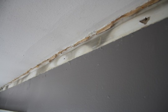 Removed the crown moulding in the bedroom to prepare for installing the shiplap paneling.