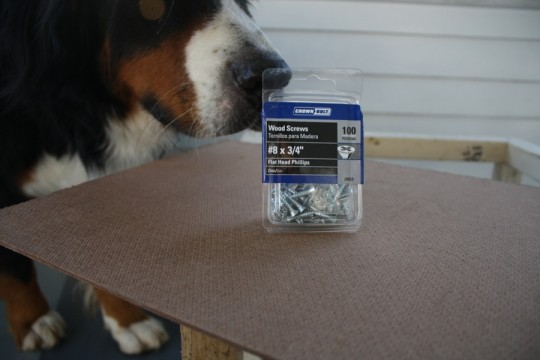 Investigating screws and the backer board that would be used to begin the ottoman framing. 