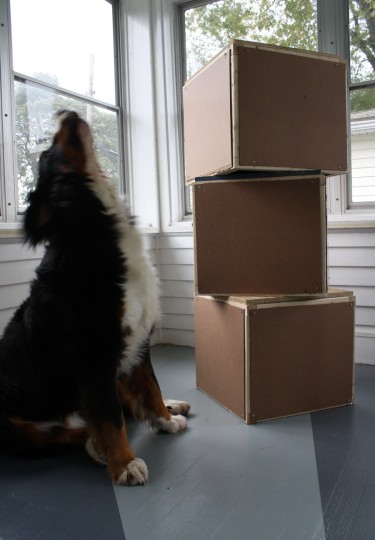Finished boxes. And a howling dog.
