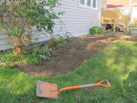 A freshly dug front yard. Satisfying.