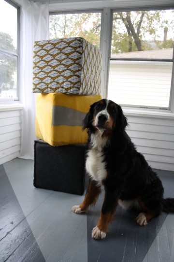 Ottomans. And a dog who looks like he's about to howl.