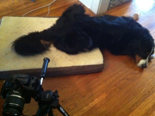 Most of you isn't on the bed, Cody.
