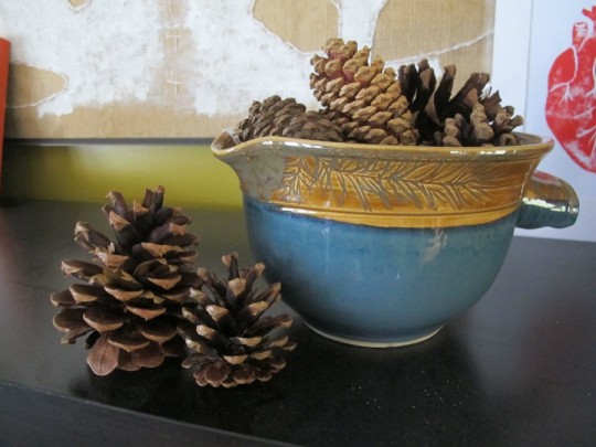 Clearance bin pine cones.