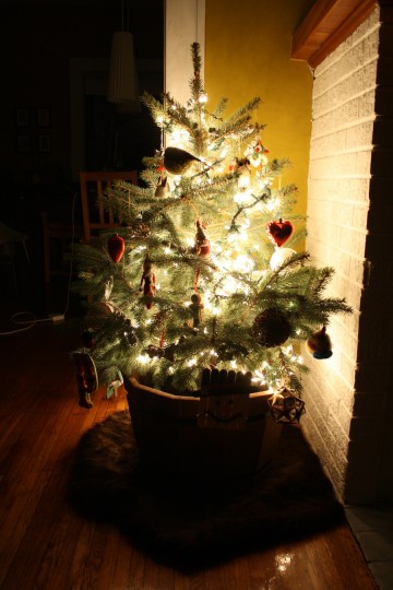 Pretty tree.
