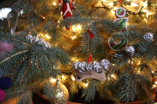 DIY tin foil garland happiness.