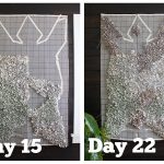 Bear Rug: Quick Update #3