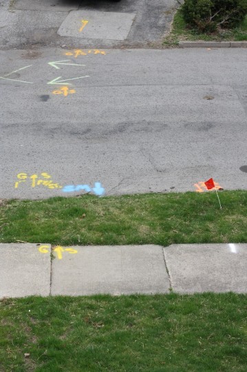 Flag for the future tree, sprayed gas and water lines.