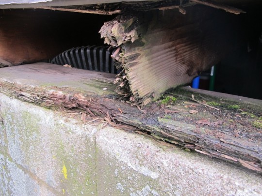 That's water damage, yo.