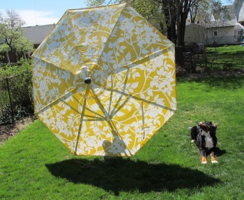 New Crate & Barrel Deck Umbrella