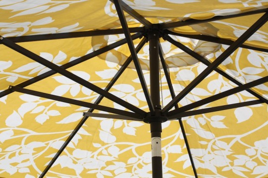 Strong 'brella, pretty 'brella.