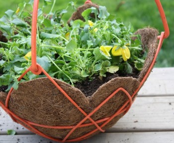 Hanging planter liners.