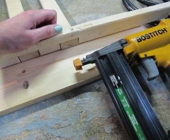 Trellis DIY project.
