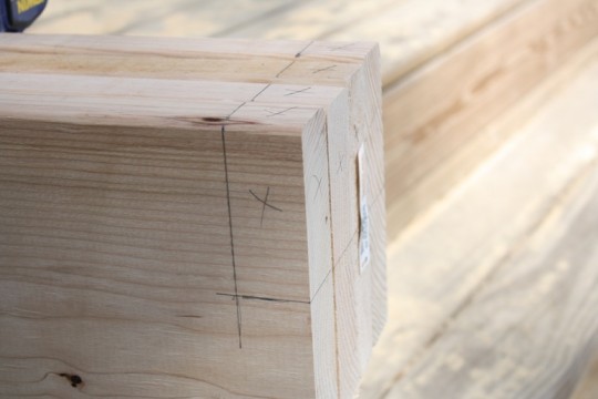 Notched and ready for cuts.
