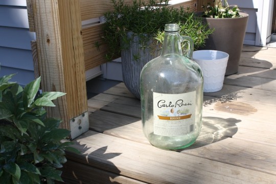 Freebie wine jug, found curbside. Is that too gross?