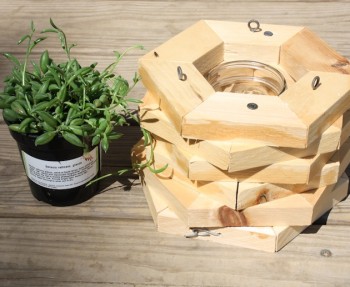Hexagon hanging planter.
