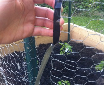 Protecting the sharp edge of sharp chicken wire.