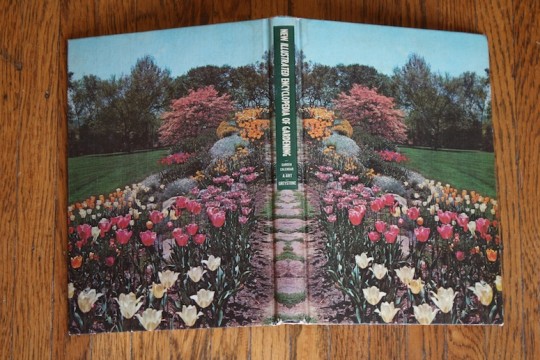 Mirror image spread for the front and back cover. So pretty.