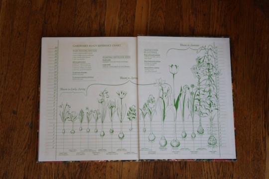 Inside a vintage book. Ooh, the detail!