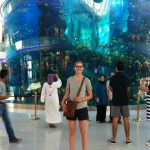 Seriously big aquarium at the Morocco Mall.