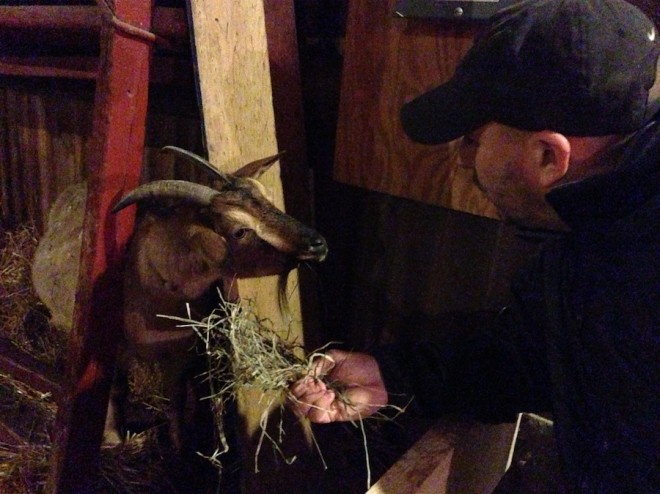 Goatman and Peteman at the Christmas Tree farm. Goatman and Peteman at the Christmas Tree farm.