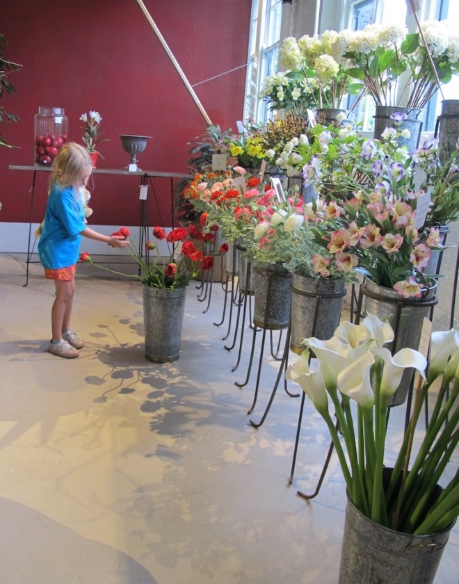 Enjoying the flowers in Preferred Plants.