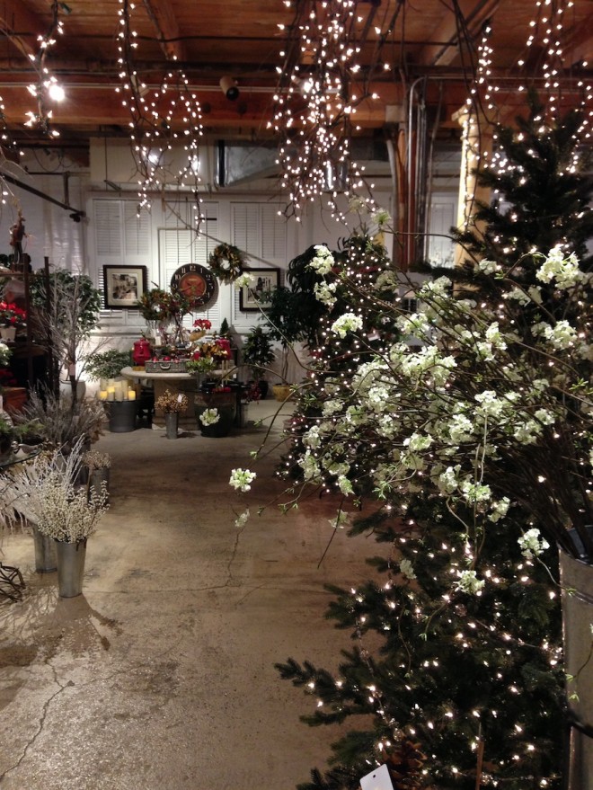 Night of Lights at Preferred Plants.