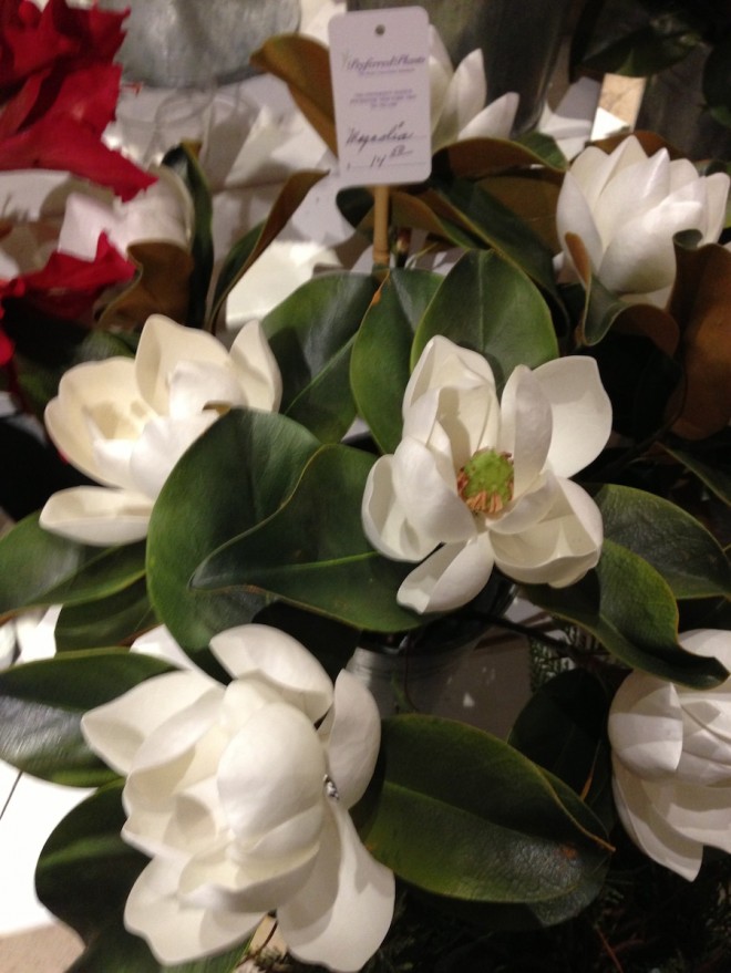 Blurriest faux-magnolia photo ever.