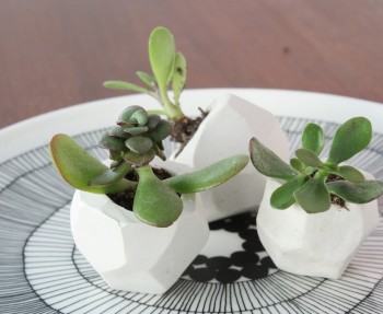 Cute little wedding favors using DIY clay planters and succulents.