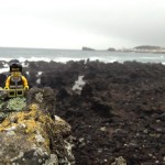 Elvis and the lava rocks.