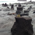 Elvis sitting on a plateau of black sand at the beach.