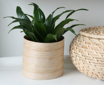 Real wood veneer edging becomes a modern wooden planter.