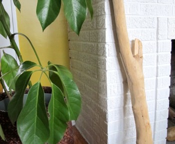 DIY driftwood hook tutorial on DIY Network.