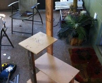 How to build a DIY cat tower